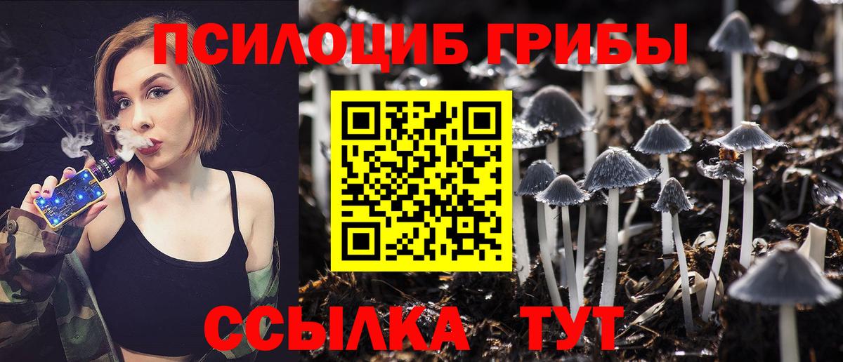Губаха  Галлюциногенные грибы мухоморы  Псилоцибиновые грибы Psilocybine cubensis  Вход с VPN 