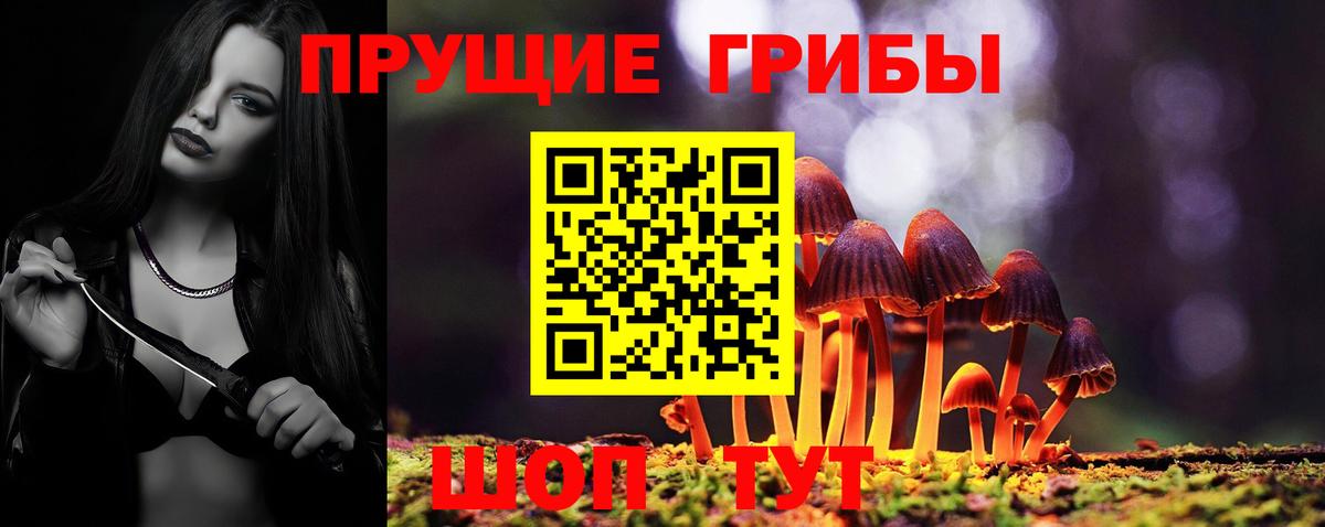 Галлюциногенные грибы прущие грибы Губаха